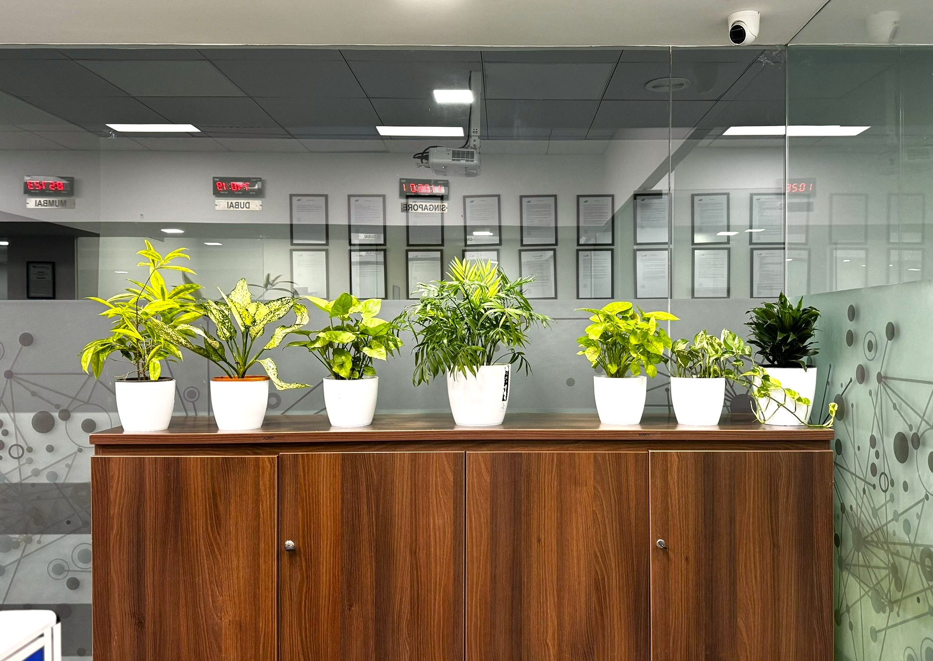 Happy Client with Plants