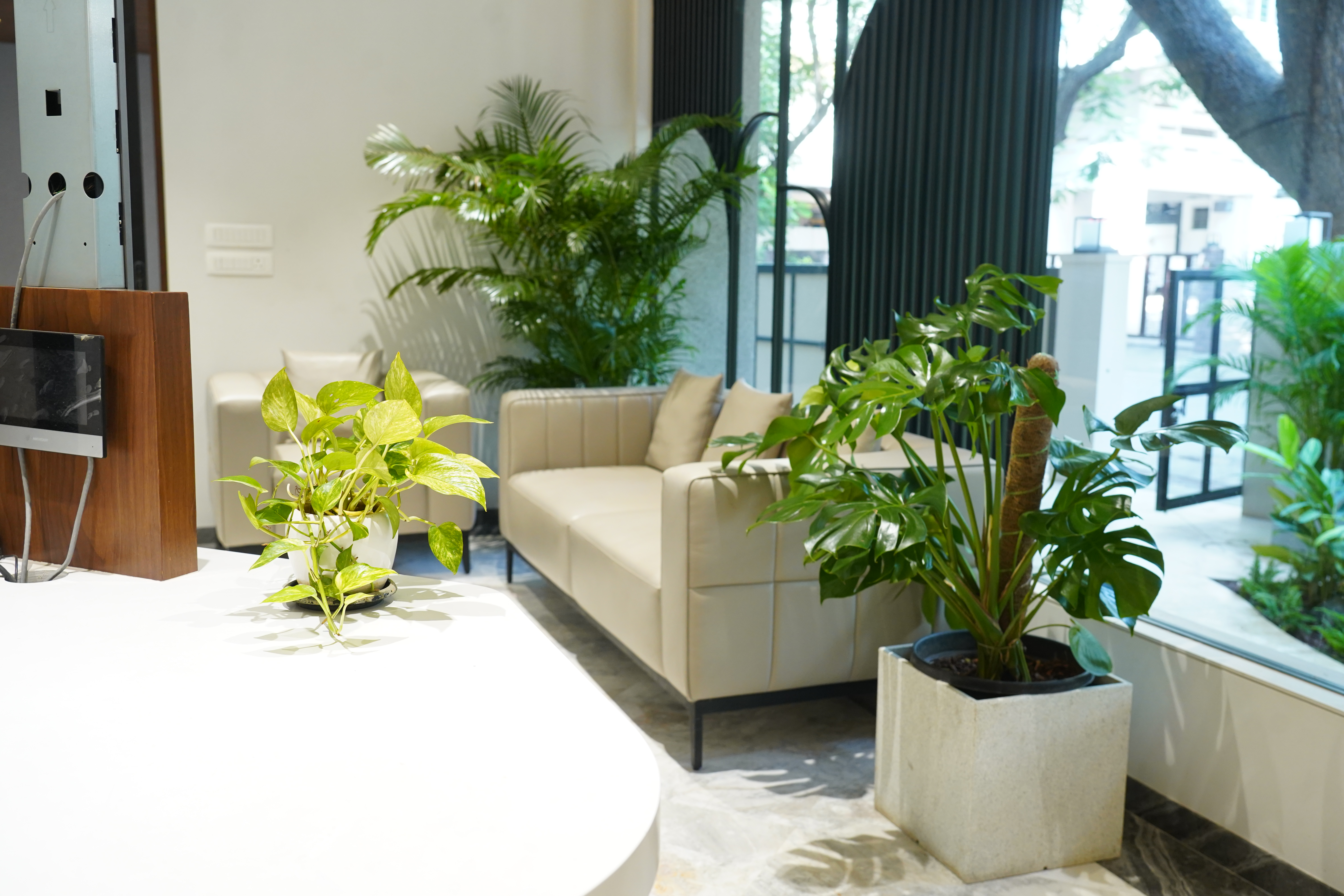 Indoor Plant Styling
