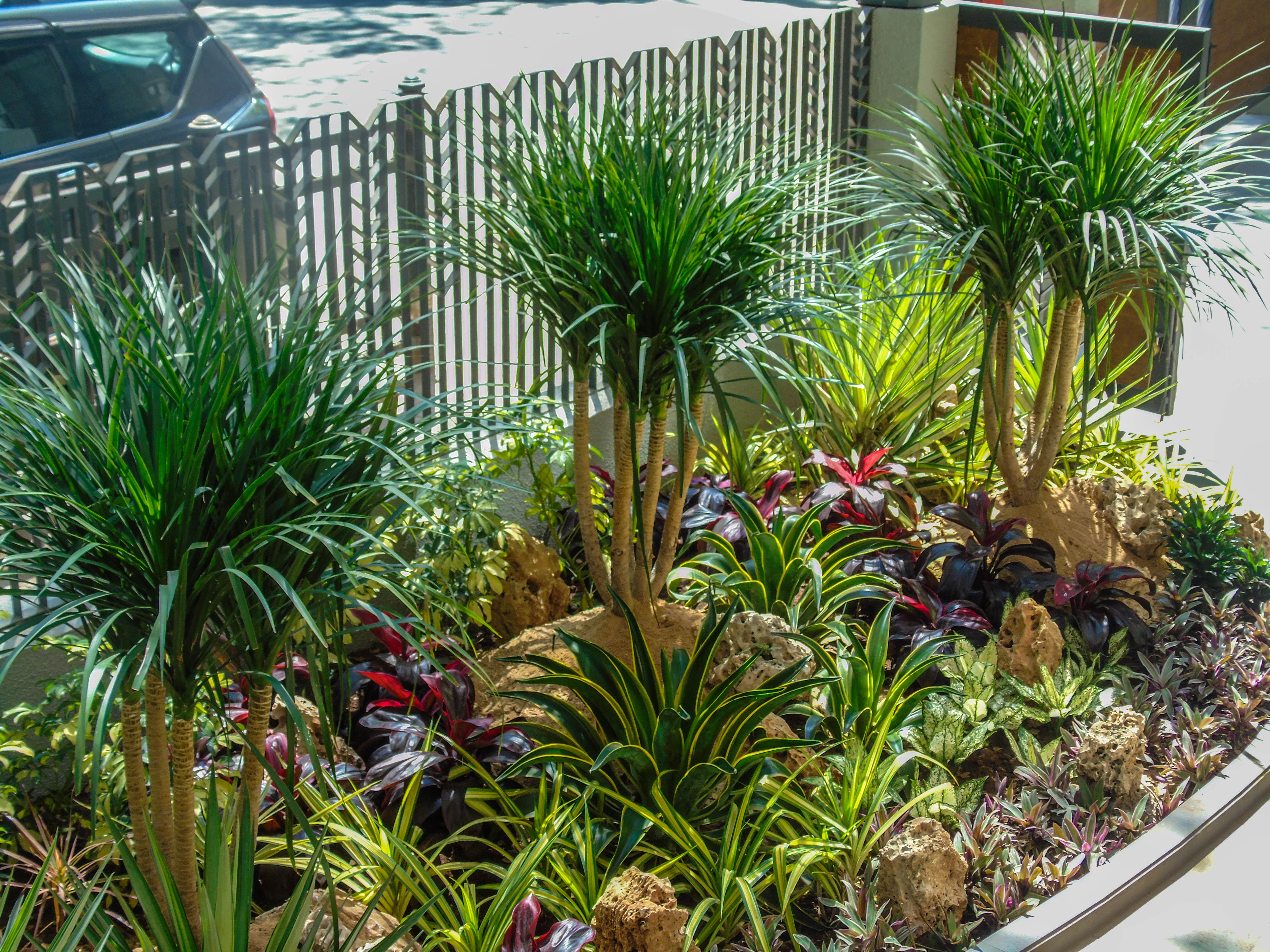 Landscape Design & Development
