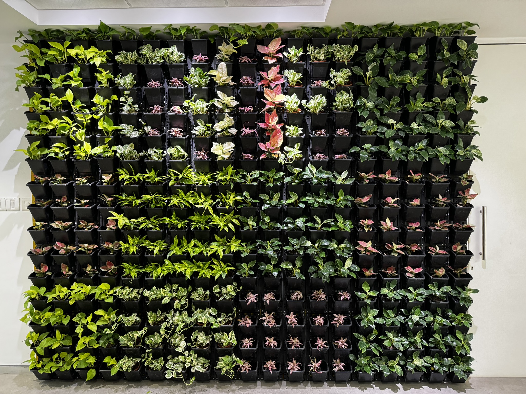 Vertical Gardens Green Walls