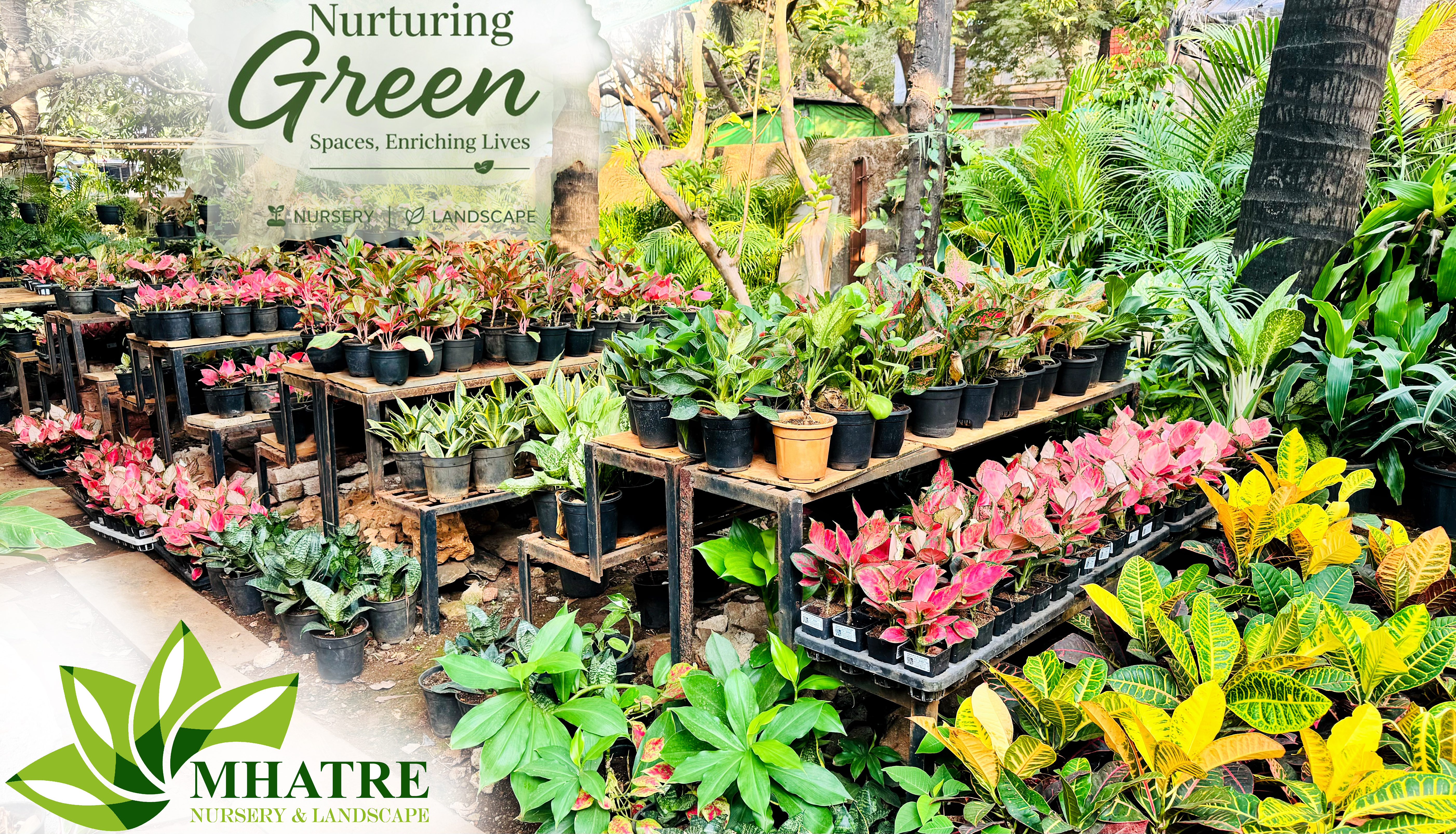 Plant Nursery Mumbai
